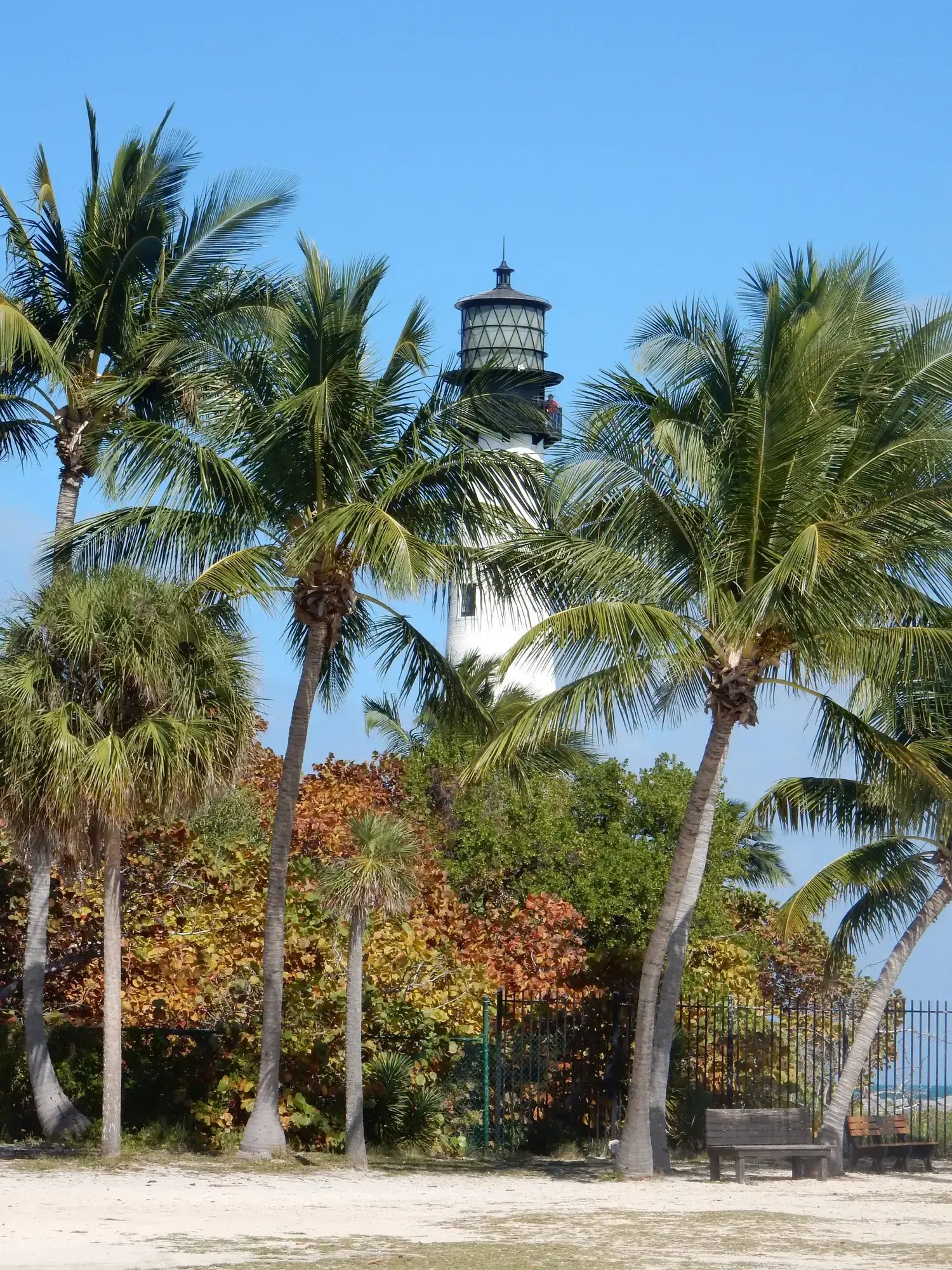 Key Biscayne Lighthouse View Between Trees